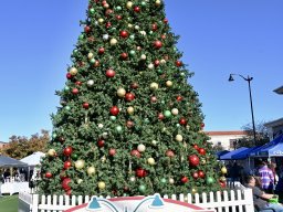 2025 Mesa Book Festival